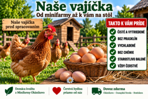 Čerstvé vajíčka